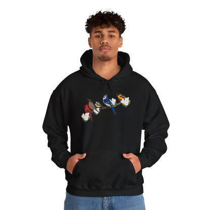 Backyard Birds on a Branch Blue Jay Cardinal Robin Chickadee Oriole Birdwatcher Hoodie