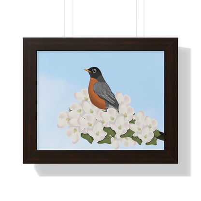 Robin Spring Blossoms Bird Framed Poster