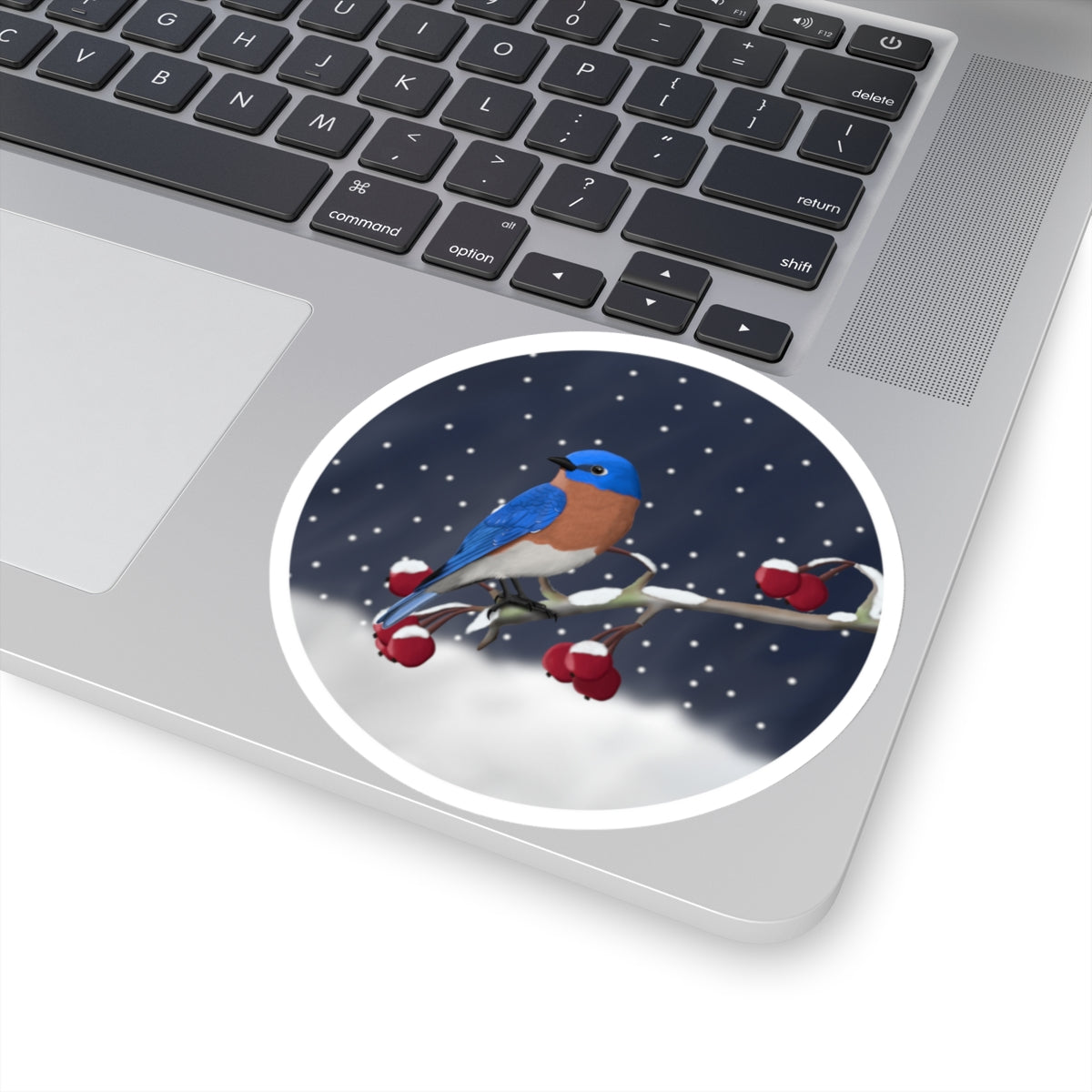 Bluebird on a Winter Branch Christmas Bird Sticker