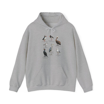 North American Shorebirds Hoodie – Pelican, Heron & Seagull