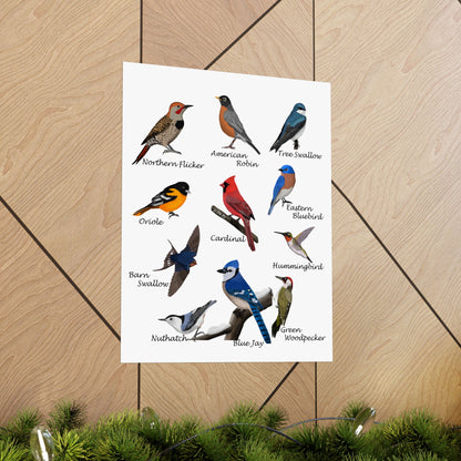 Backyard Birds Blue Jay Cardinal Hummingbird Bluebird Oriole Robin Matte Bird Poster