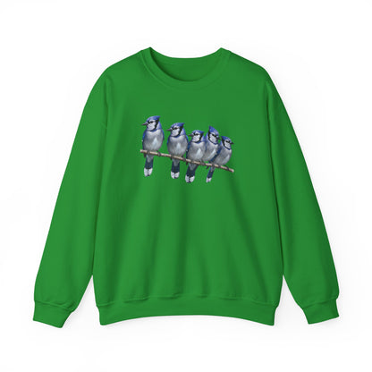 Blue Jays Sweatshirt | Bird Watcher Crewneck | Unisex Songbird Gift for Bird Lovers