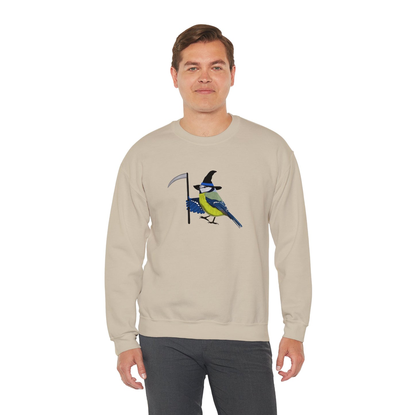 Blue Titmouse Halloween Birds Witch Birdwatcher Sweatshirt