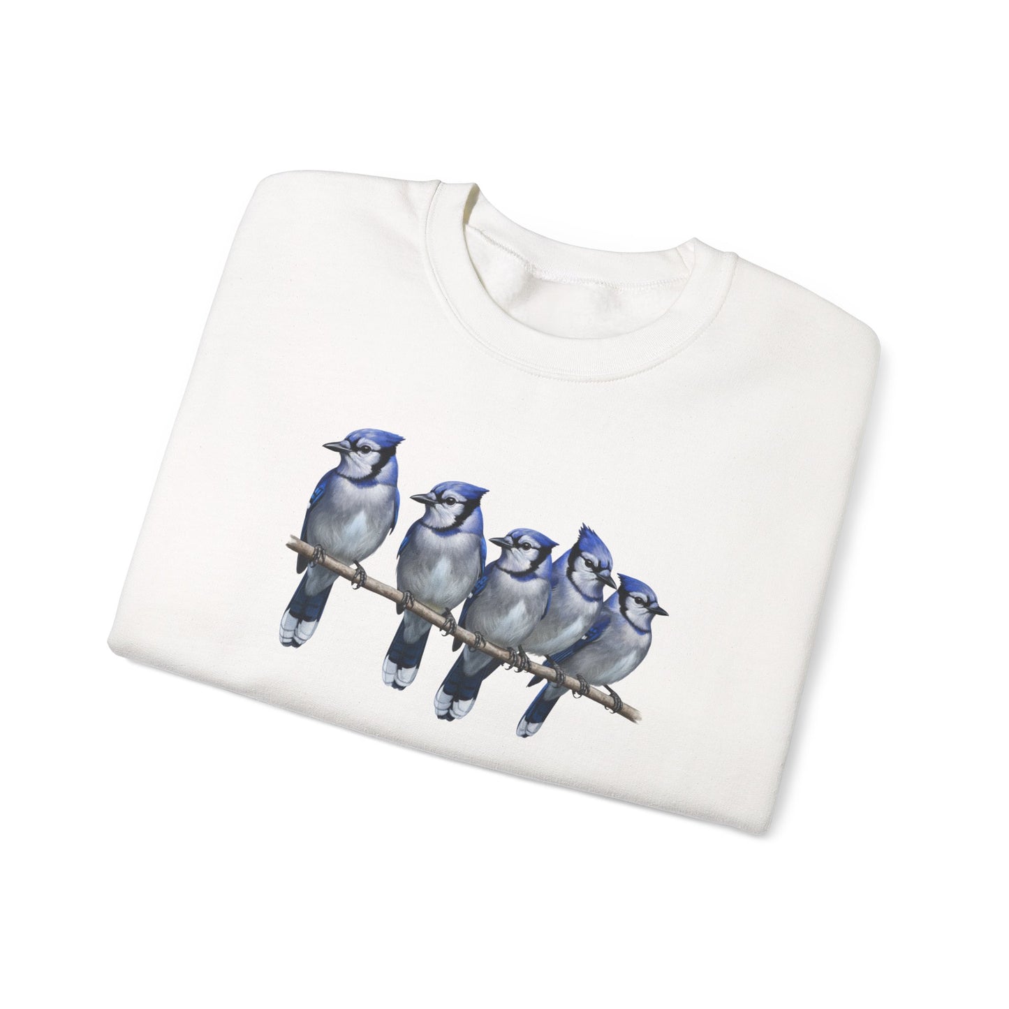 Blue Jays Sweatshirt | Bird Watcher Crewneck | Unisex Songbird Gift for Bird Lovers