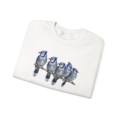 Blue Jays Sweatshirt | Bird Watcher Crewneck | Unisex Songbird Gift for Bird Lovers