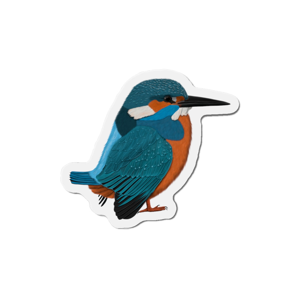 Kingfisher Bird Magnet