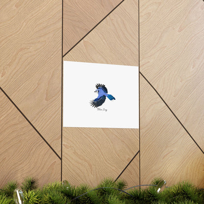 Blue Jay Bird Birding Matte Poster