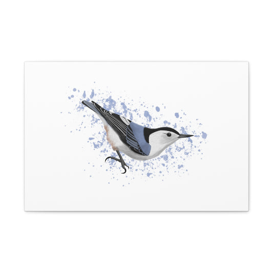 nuthatch bird canvas gallery wrap