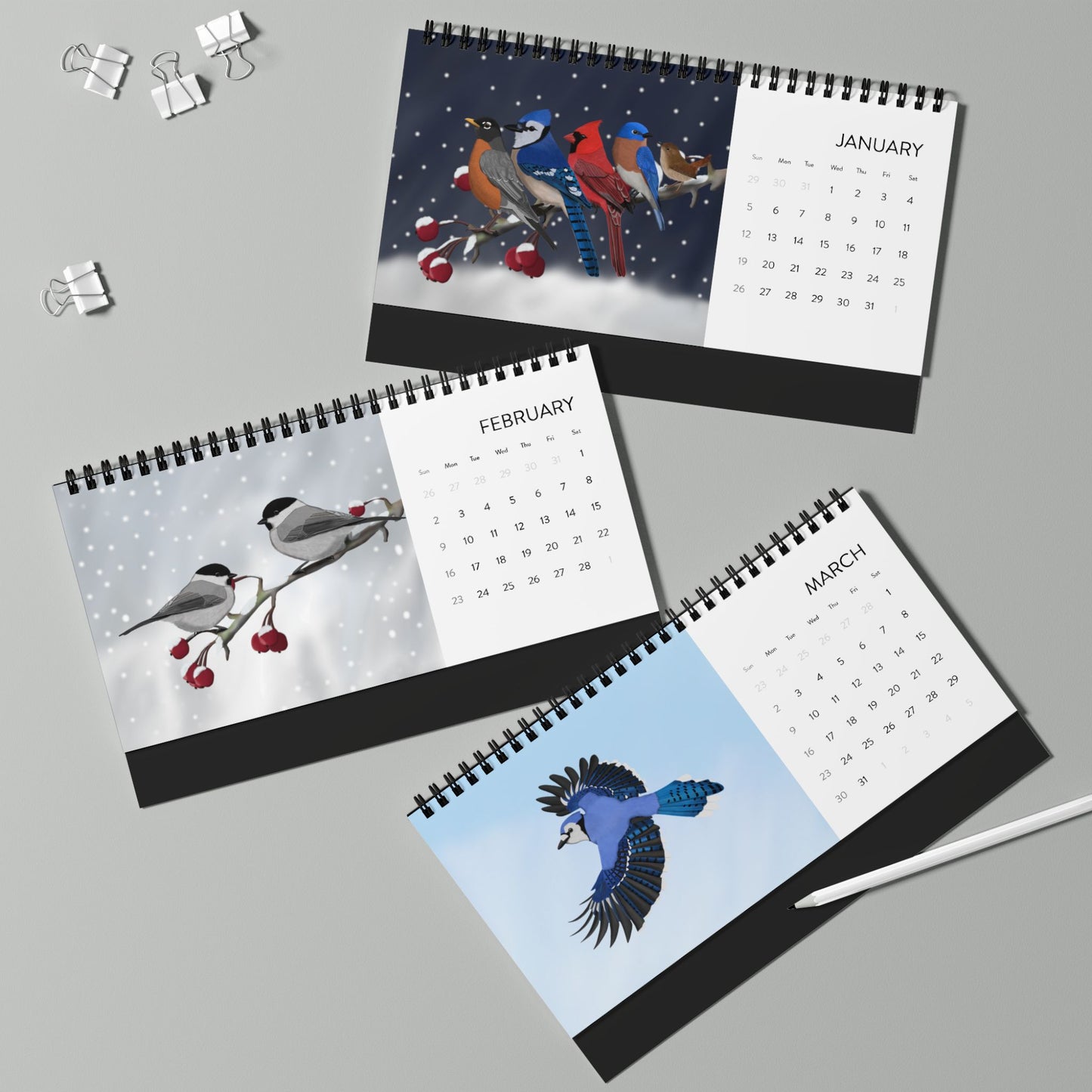 Backyard Birds Blue Jay Cardinal Robin Desktop Calendar with 2025 Grid