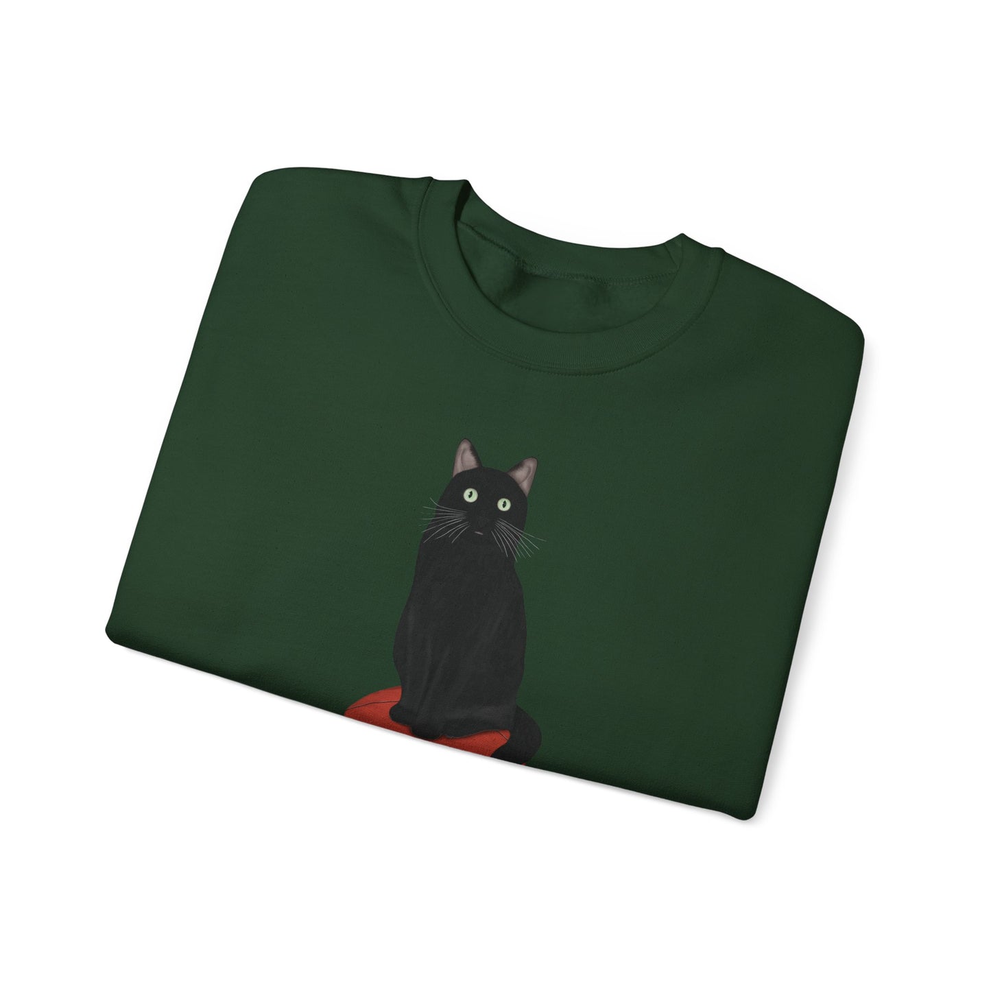 Black Cat with Football Cat Lover Sweatshirt