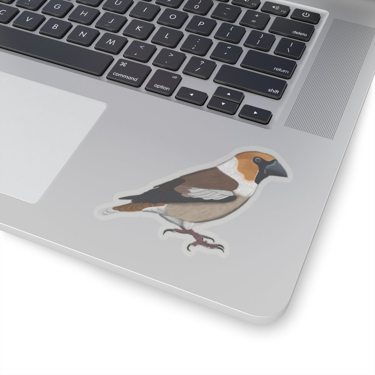 Hawfinch Bird Kiss-Cut Sticker