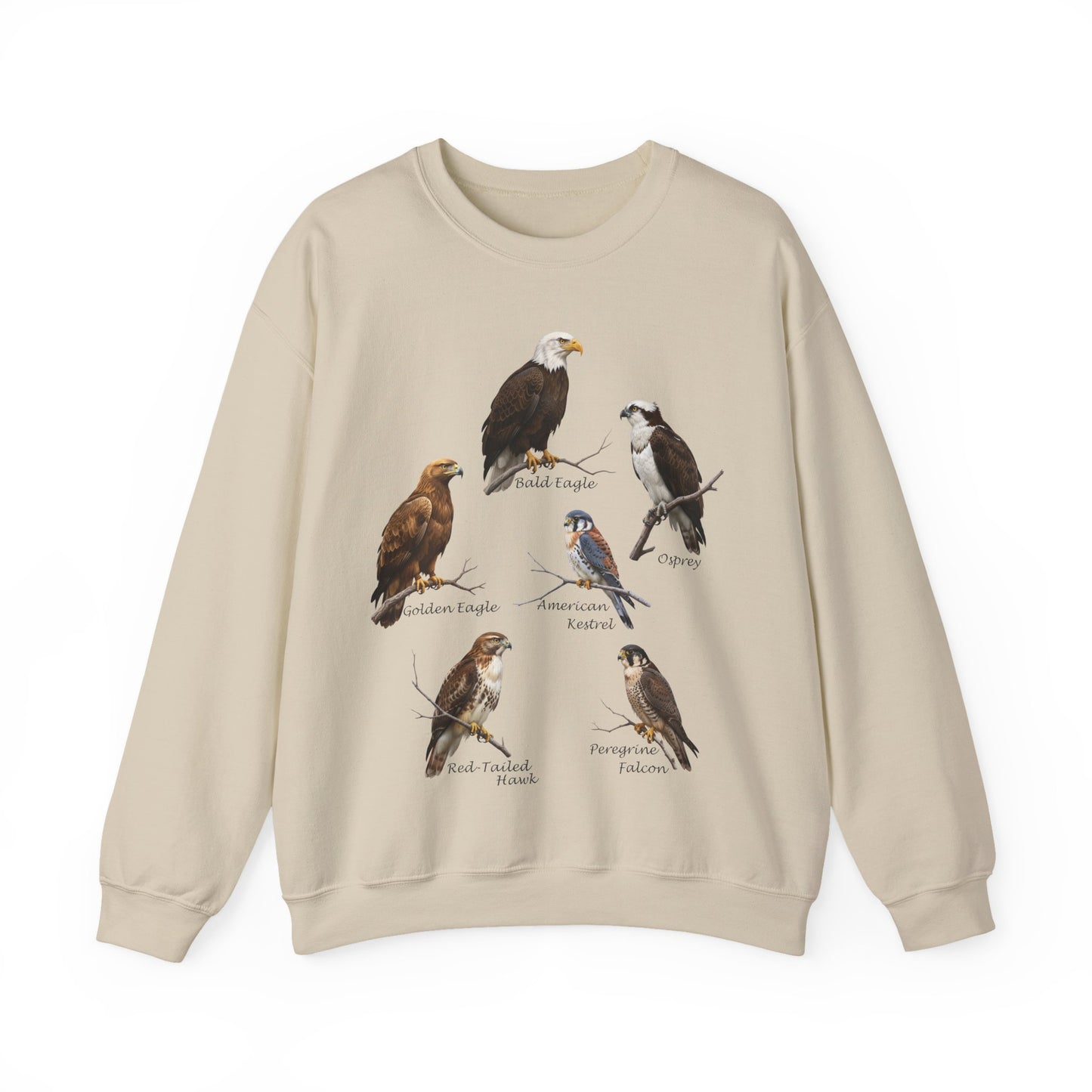 North American Raptors Crewneck Sweatshirt – Bald Eagle, Hawk & Falcon
