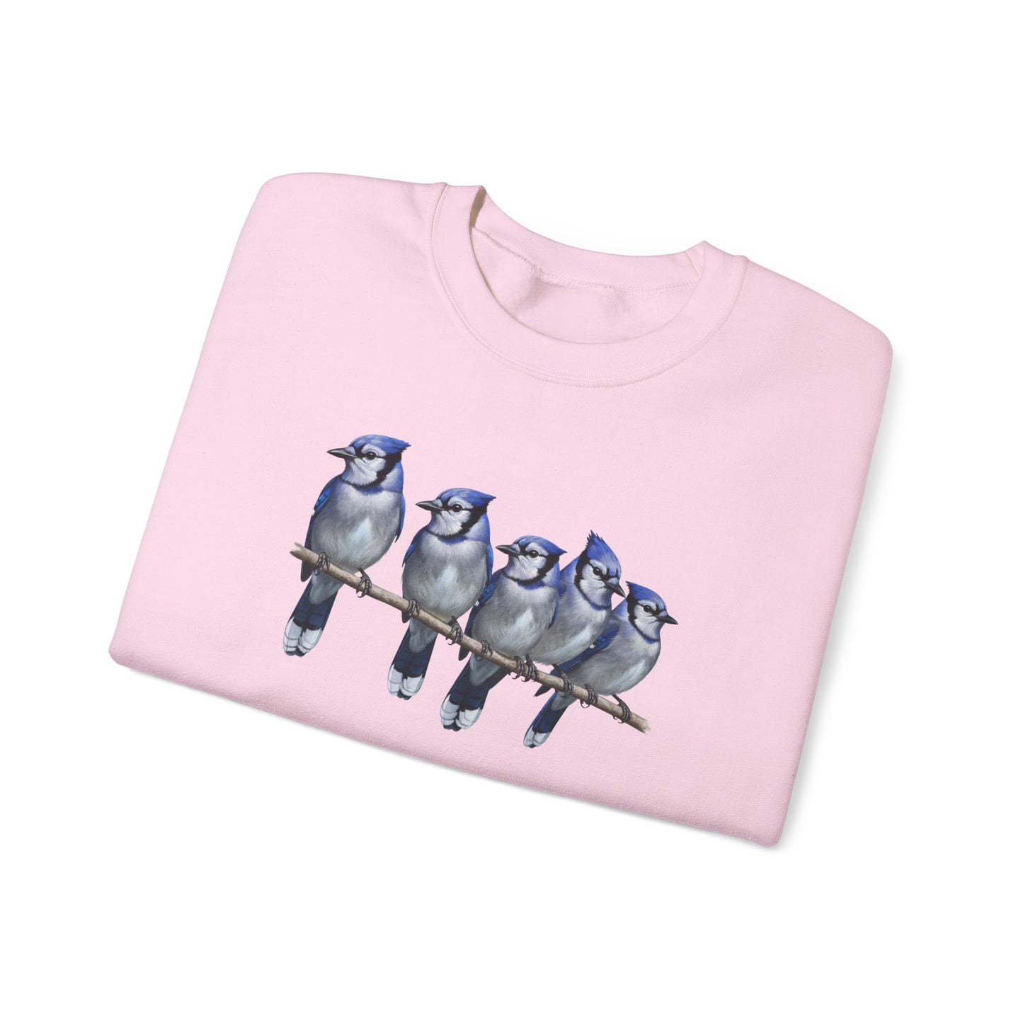 Blue Jays Sweatshirt | Bird Watcher Crewneck | Unisex Songbird Gift for Bird Lovers