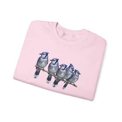 Blue Jays Sweatshirt | Bird Watcher Crewneck | Unisex Songbird Gift for Bird Lovers