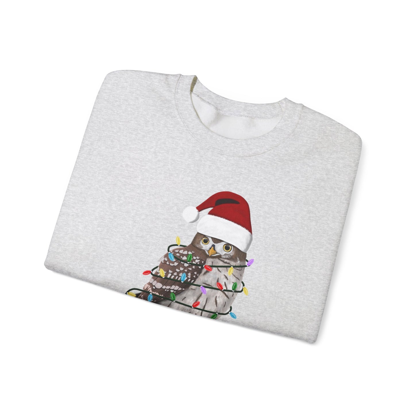 Owl with Fairy Lights Santa Claus Christmas Bird Sweatshirt