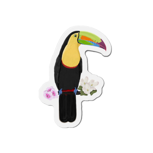 Keel-Billed Toucan Bird Magnet