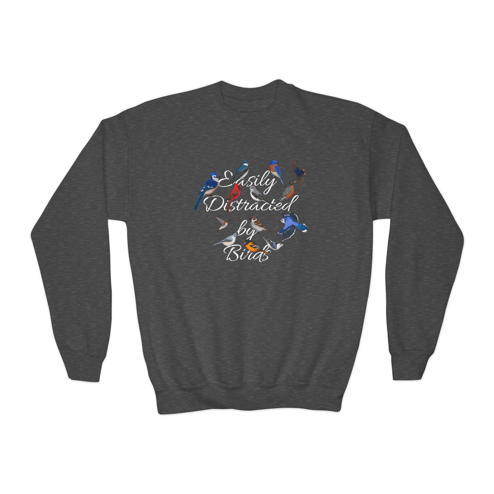 Hummingbird, Bluebird, Blue Jay, Cardinal and Nuthatch Youth Sweatshirts on Casual Kids Clothing background