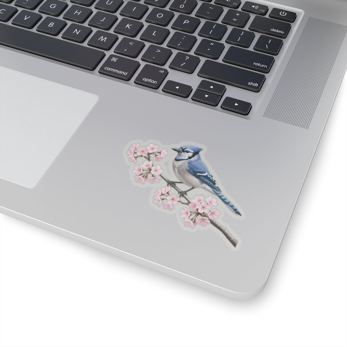 Blue Jay Cherry Blossom Sticker | Glossy Floral Bird Decal | Spring Laptop Sticker