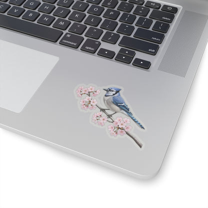 Blue Jay Cherry Blossom Sticker | Glossy Floral Bird Decal | Spring Laptop Sticker