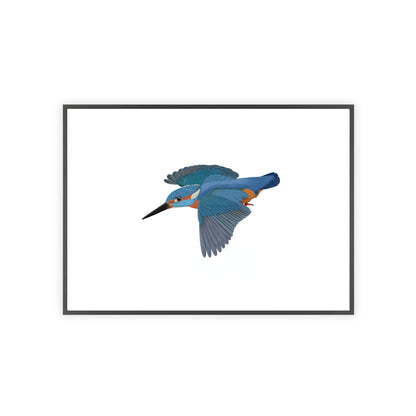 Vogel Poster im Holzrahmen - Eisvogel Poster Singvogel Weiß