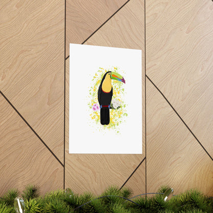 Keel-Billed Toucan Bird Artwork Matte Poster