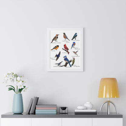 Backyard Birds Blue Jay Robin Cardinal Nuthatch Oriole Framed Poster