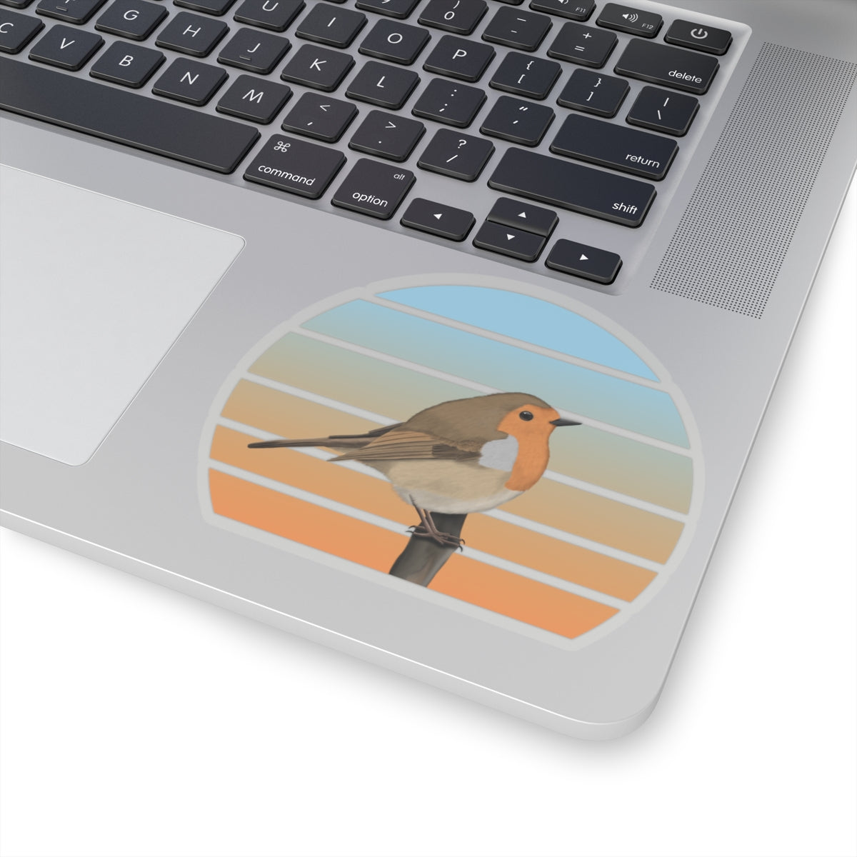 European Robin Bird Sticker