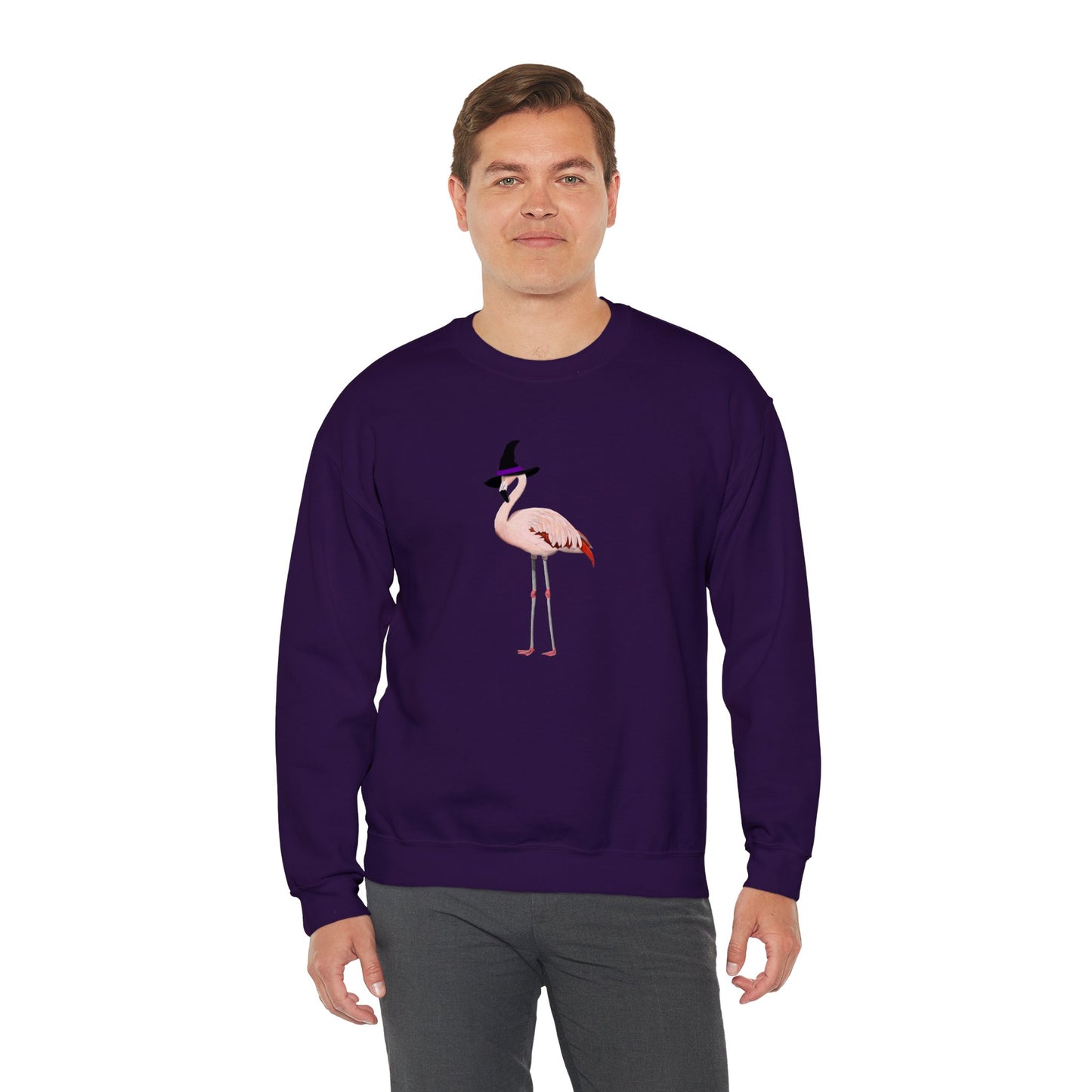 Flamingo Halloween Birds Witch Birdwatcher Sweatshirt