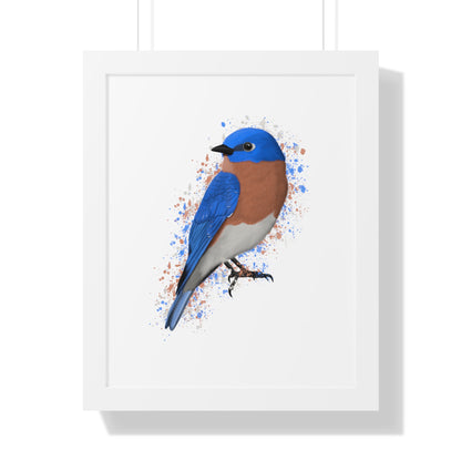 Bluebird Bird Framed Poster