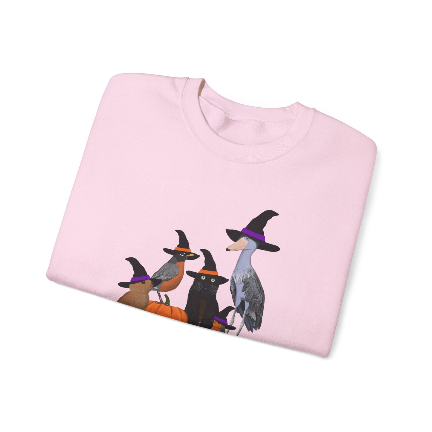 Robin Shoebill Rabbit with Cat Happy Halloween Birds Sweatshirt