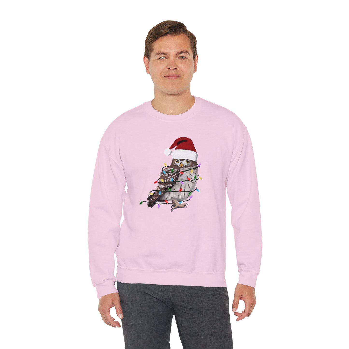 Owl with Fairy Lights Santa Claus Christmas Bird Sweatshirt