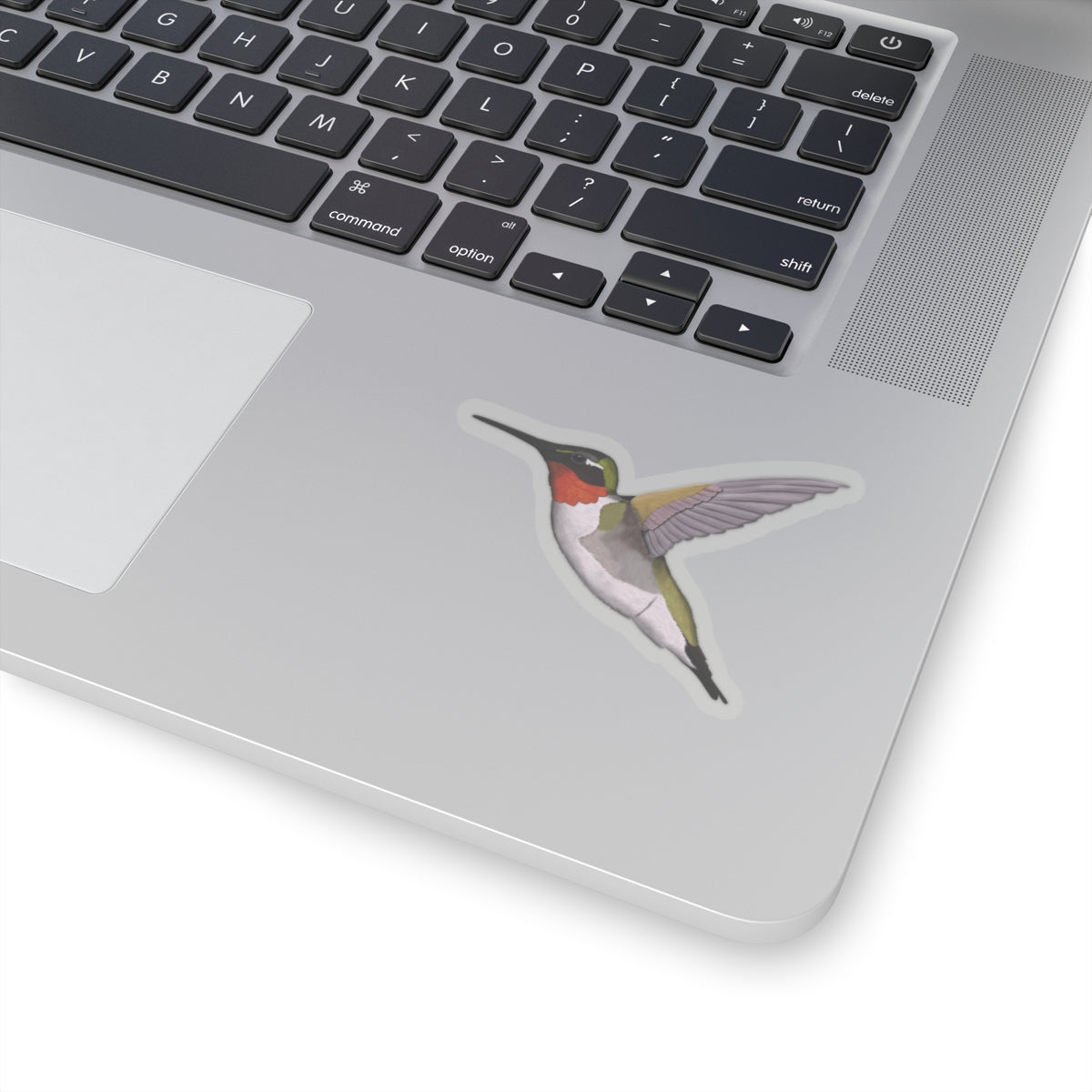Hummingbird Bird Kiss-Cut Sticker
