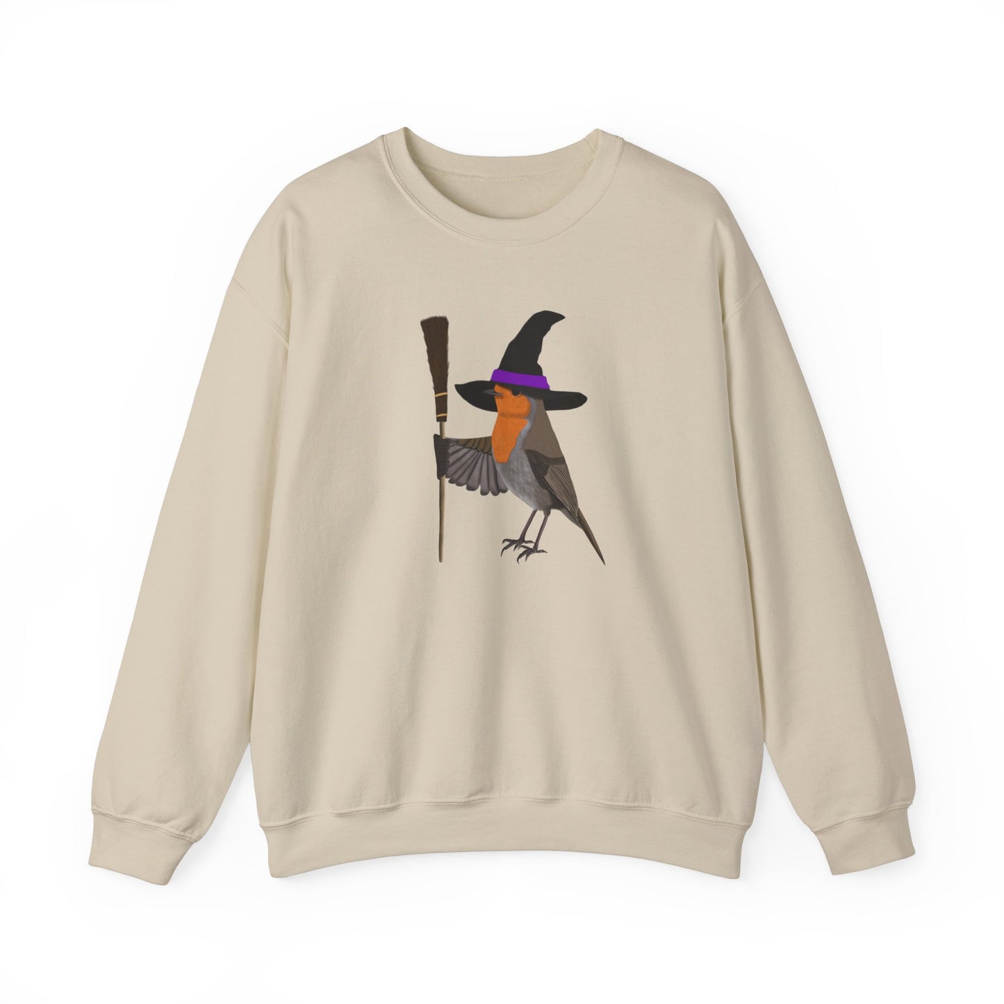 Robin Halloween Witch Birdwatcher Biologist Bird Sweatshirt