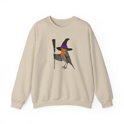 Robin Halloween Witch Birdwatcher Biologist Bird Sweatshirt