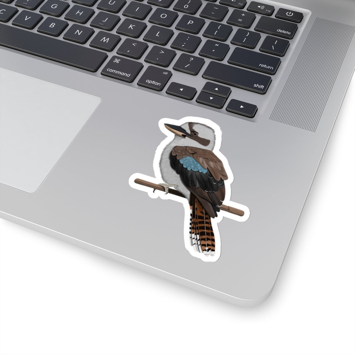 Kookaburra Bird Kiss-Cut Sticker