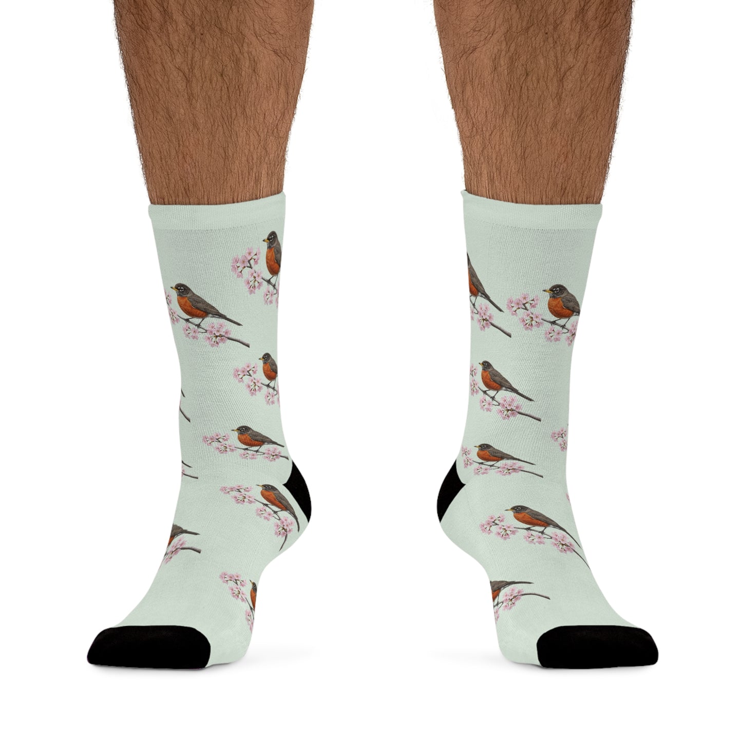 American Robin Socks – & Cherry Blossom Sage Green | Birdwatching Apparel