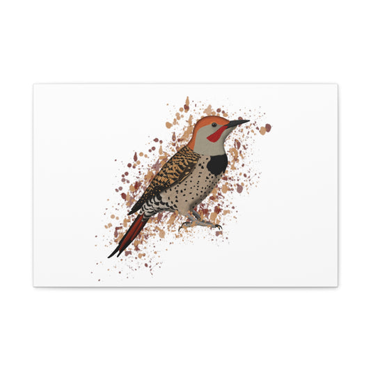 Northern Flicker Bird Canvas Gallery Wrap White