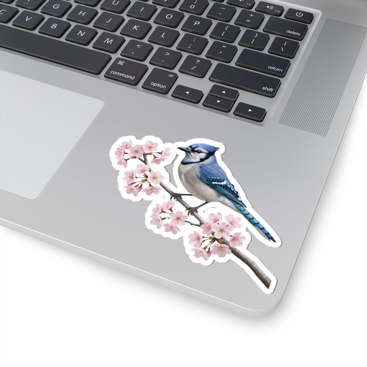 Blue Jay Stickers – bird sticker and cherry blossoms style