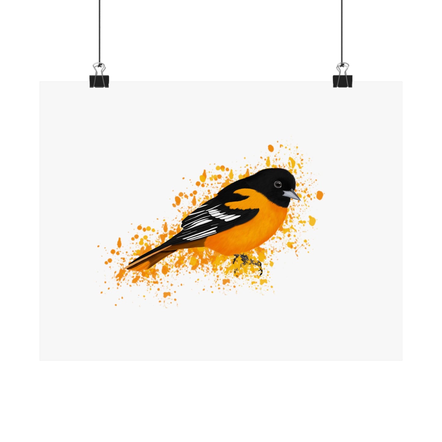 Baltimore Oriole Bird Artwork Matte Poster