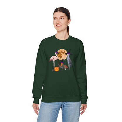 Robin Flamingo Shoebill Halloween Birds Witch Birdwatcher Sweatshirt