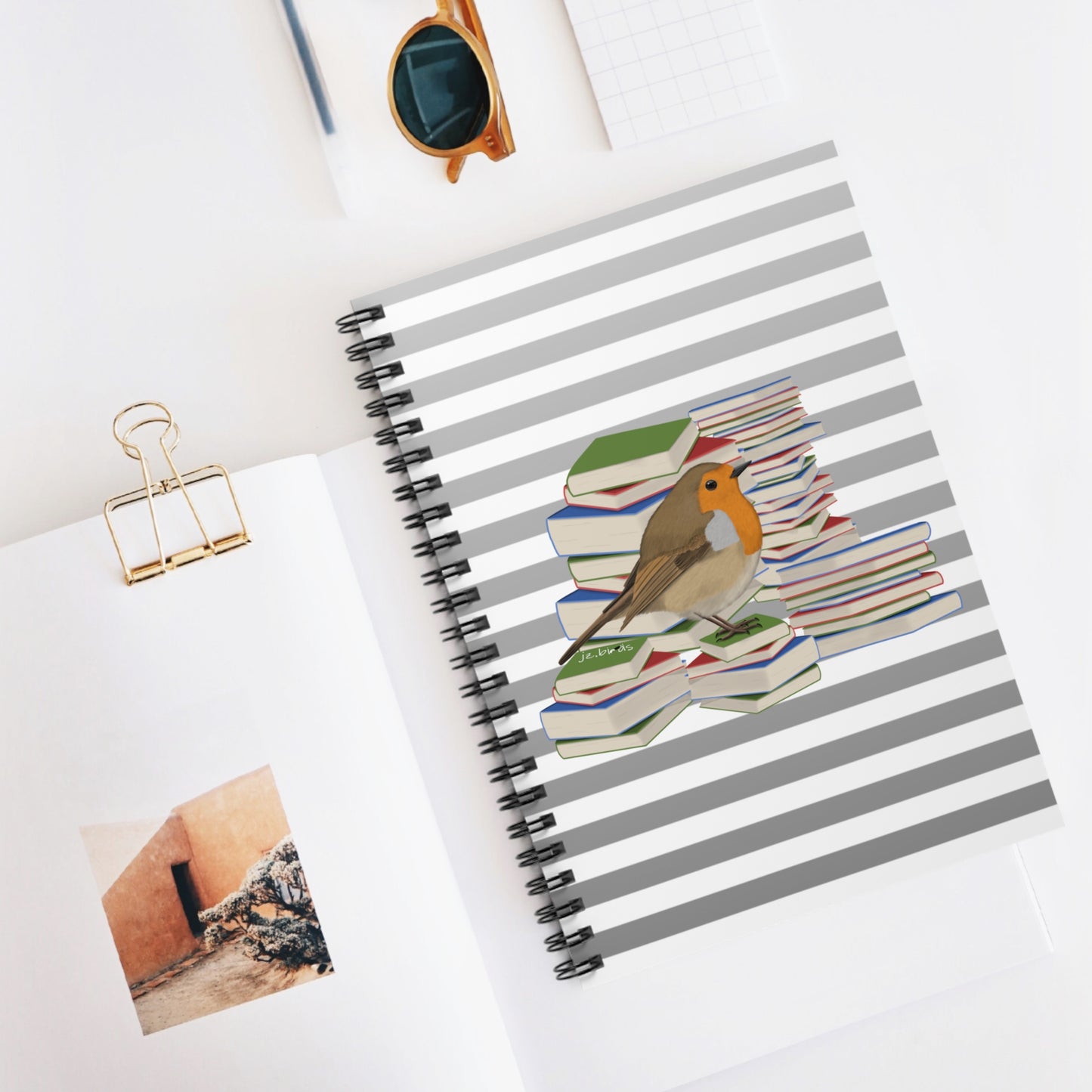 European Robin Bird with Books Birdlover Bookworm Spiral Notebook Ruled Line