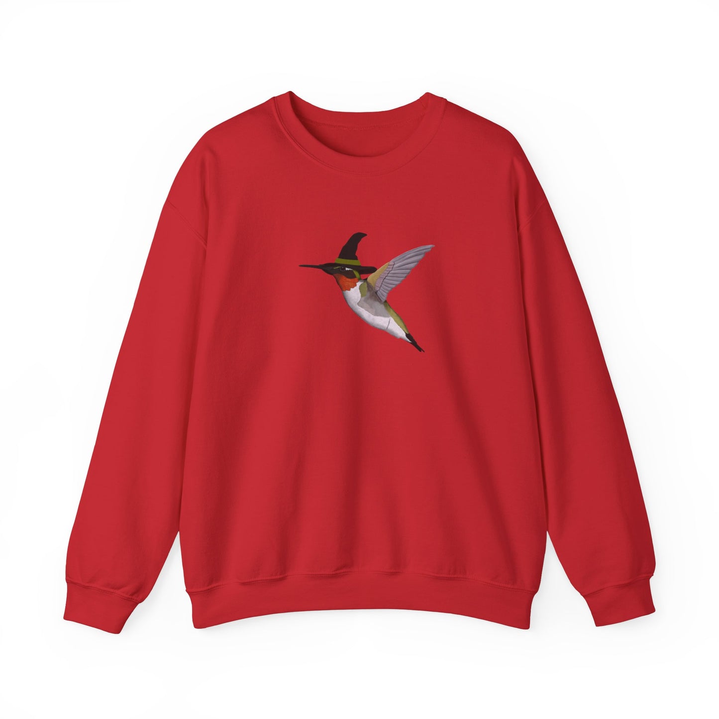 Hummingbird Halloween Birds Witch Birdwatcher Sweatshirt