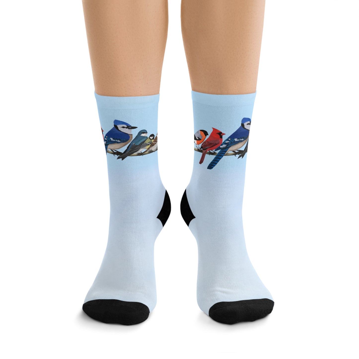 Garden Birds Blue Jay Cardinal Bullfinch Birding & Birdwatching Bird Socks Blue