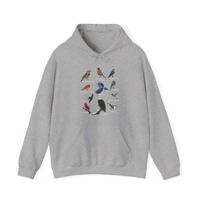 Blue Jay Cardinal Hummingbird Bald Eagle Robin Bird Hoodie