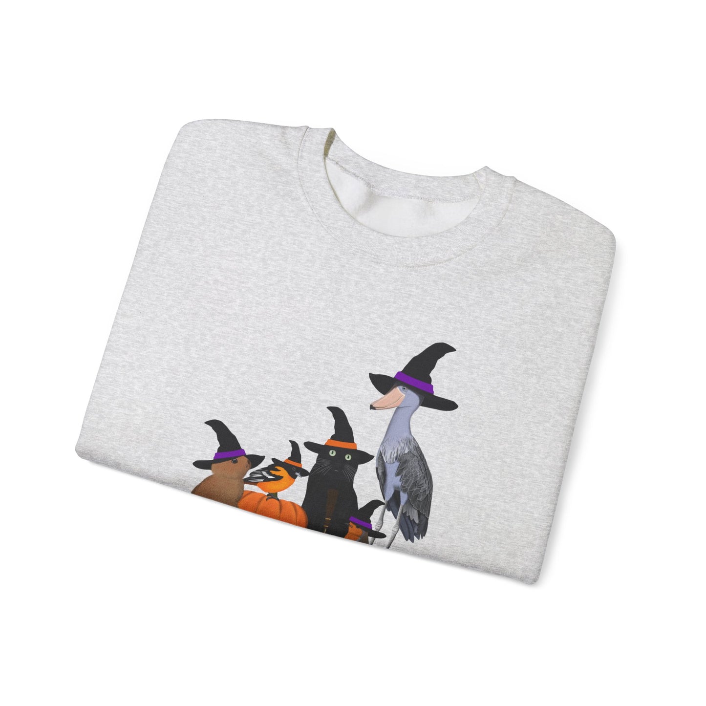 Robin Shoebill Oriole Rabbit with Cat Halloween Birds Sweatshirt