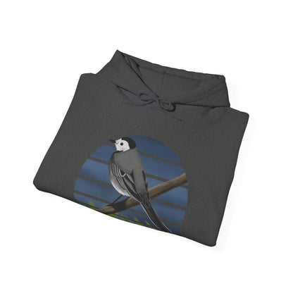 White Wagtail Bird Hoodie