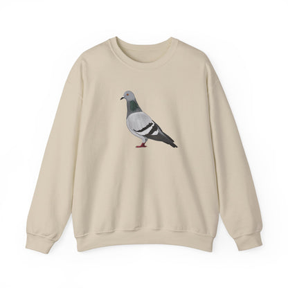 Pigeon Bird Watcher Biologist Crewneck Sweatshirt