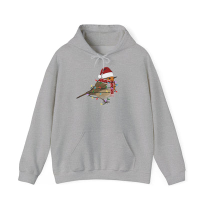 Rotkehlchen Weihnachts-Hoodie - Vogel als Weihnachtsmann mit Lichterkette Sweater