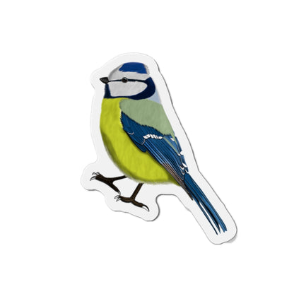 Blue Titmouse Bird Magnet