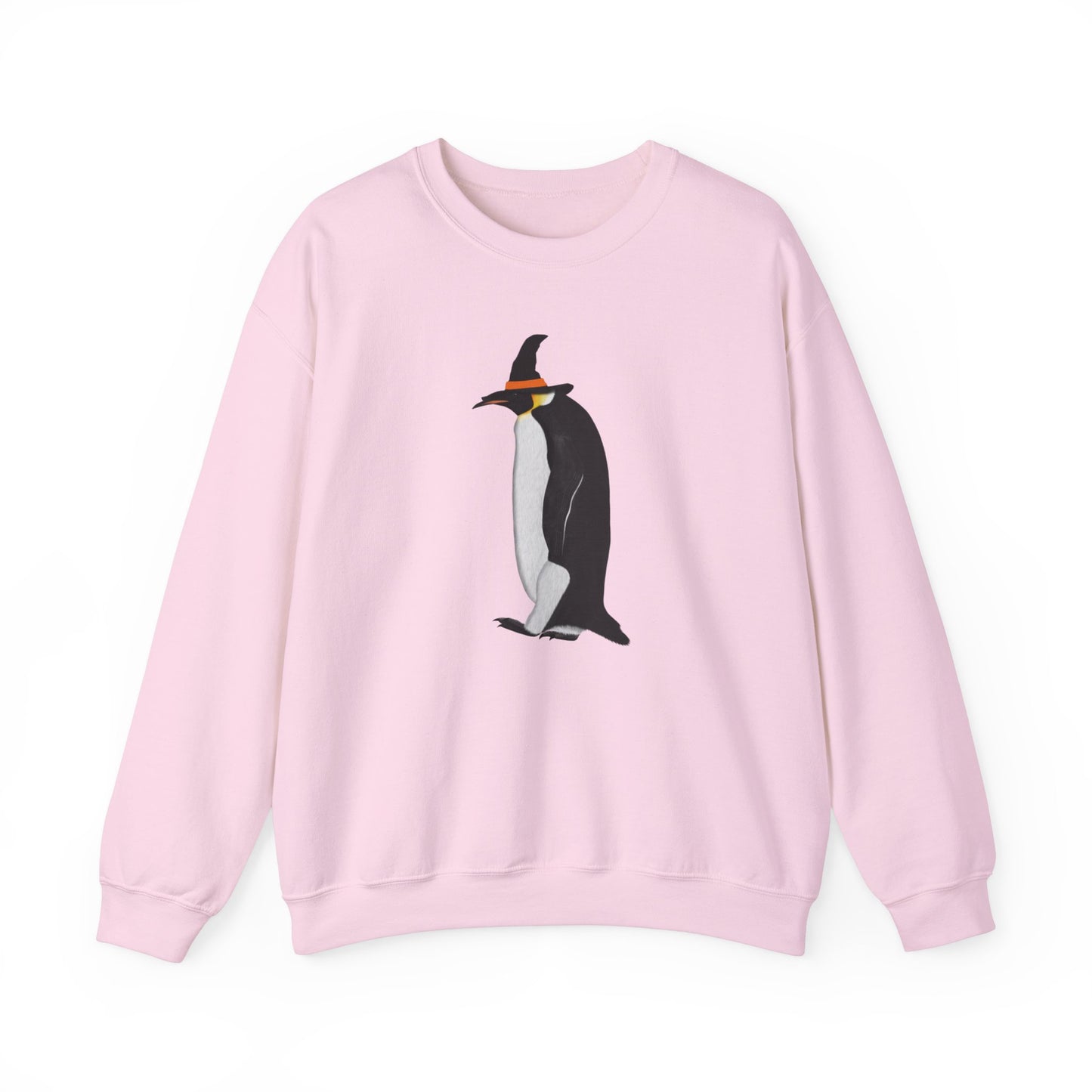 Penguin Halloween Birds Witch Birdwatcher Sweatshirt